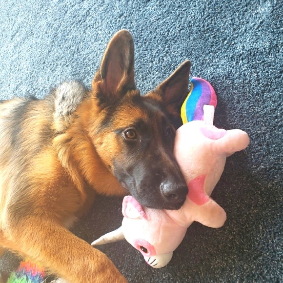 I am accepting All Resonable offers! - Picture 1 of 1